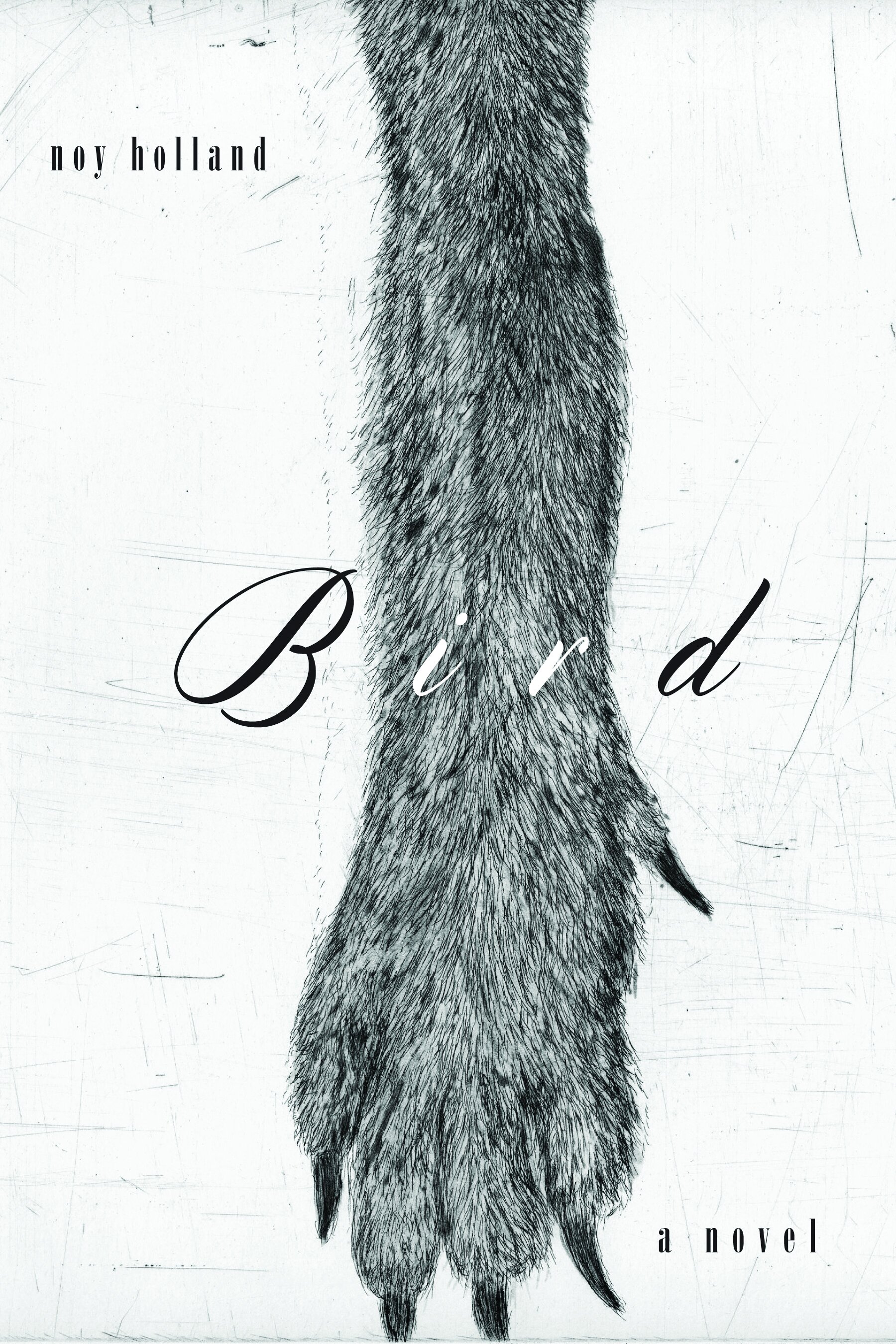 cover of Bird