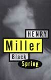 Image of cover of Black Spring