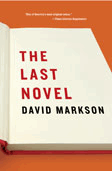 Cover image of The Last Novel